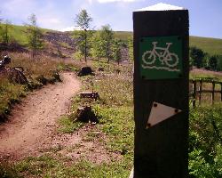 :*Forestry Trails*